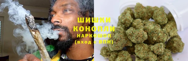 индика Весьегонск
