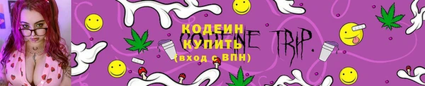 ПСИЛОЦИБИНОВЫЕ ГРИБЫ Горняк