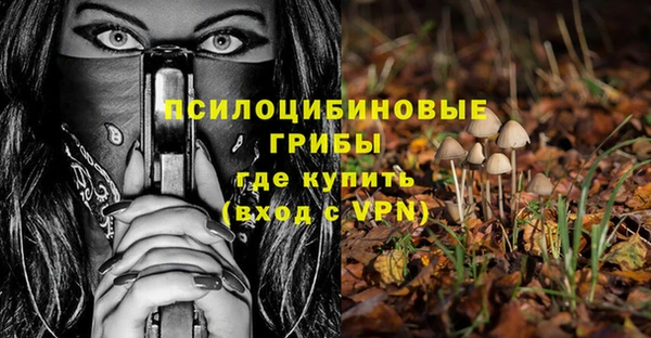 PSILOCYBIN Бутурлиновка