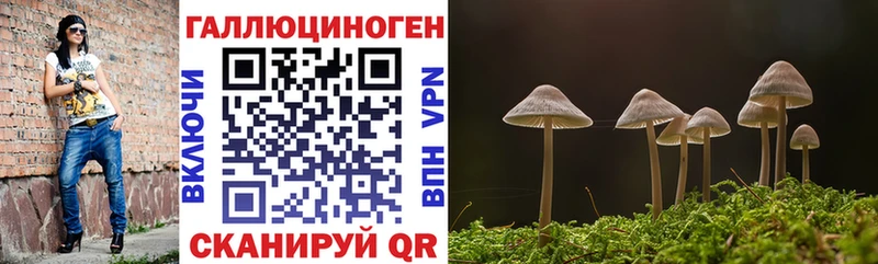 Псилоцибиновые грибы MAGIC MUSHROOMS наркошоп hydra вход Горнозаводск